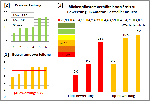rueckenpflaster Test Bewertung