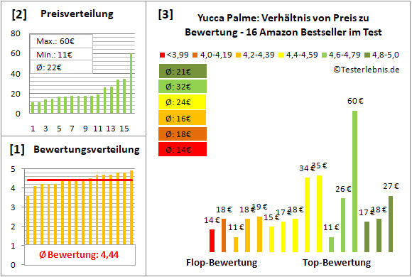 yucca-palme Test Bewertung
